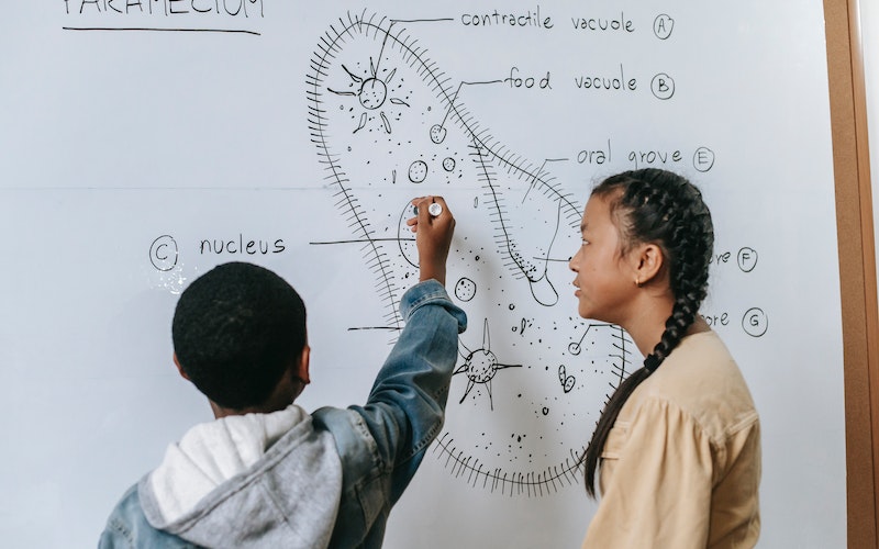 STEM afterschool program